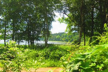 Blick vom Haus zum See 