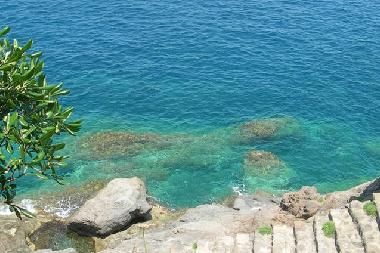 Ferienhaus in Forio  (Napoli) oder Ferienwohnung oder Ferienhaus