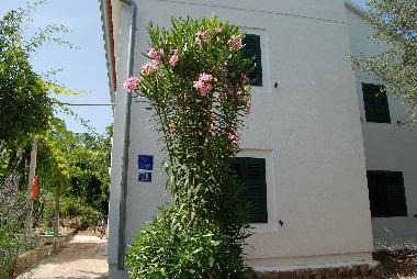 Ferienhaus in Mali Lukoran (Zadarska) oder Ferienwohnung oder Ferienhaus