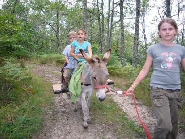Ferienhaus in le Bouyssou (Lot) oder Ferienwohnung oder Ferienhaus