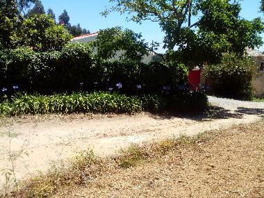 Ferienhaus in B&B da Mata  (Oeste) oder Ferienwohnung oder Ferienhaus