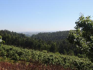 Ferienhaus in B&B da Mata  (Oeste) oder Ferienwohnung oder Ferienhaus