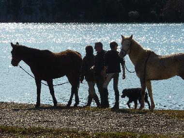 Chalet in AUPS (Var) oder Ferienwohnung oder Ferienhaus