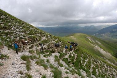 Ferienwohnung in Norcia (Perugia) oder Ferienwohnung oder Ferienhaus