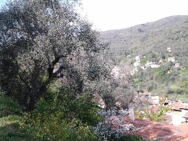 Ferienwohnung in MOLTEDO (Imperia) oder Ferienwohnung oder Ferienhaus