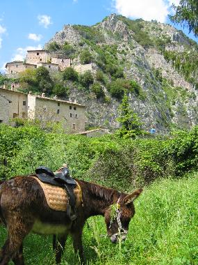 Ferienhaus in Norcia (Perugia) oder Ferienwohnung oder Ferienhaus