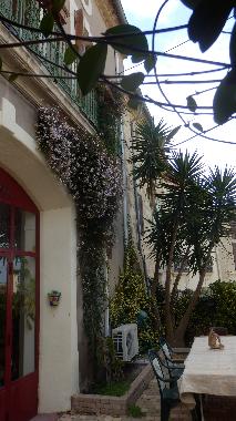 Ferienwohnung in Castelnau de Guers (H�rault) oder Ferienwohnung oder Ferienhaus