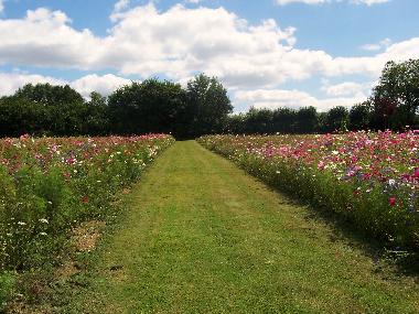 Ferienhaus in pouligny notre dame (Centre) oder Ferienwohnung oder Ferienhaus