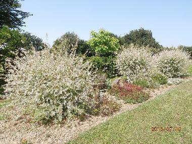 Ferienhaus in pouligny notre dame (Centre) oder Ferienwohnung oder Ferienhaus