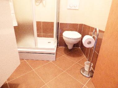 Ferienhaus in Baska voda (Splitsko-Dalmatinska) oder Ferienwohnung oder Ferienhaus