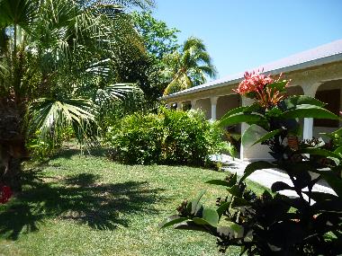 Ferienwohnung in sainte anne (Guadeloupe) oder Ferienwohnung oder Ferienhaus