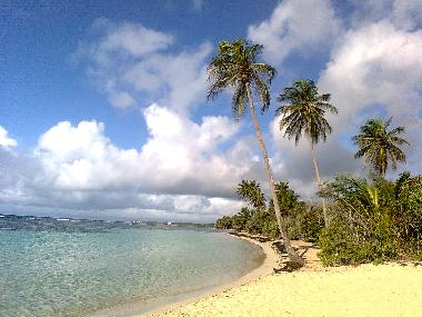 Ferienwohnung in sainte anne (Guadeloupe) oder Ferienwohnung oder Ferienhaus