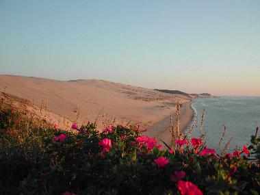 Ferienhaus in ARCACHON (Gironde) oder Ferienwohnung oder Ferienhaus