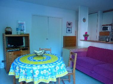 Ferienhaus in ARCACHON (Gironde) oder Ferienwohnung oder Ferienhaus