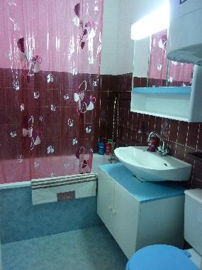 Ferienhaus in ARCACHON (Gironde) oder Ferienwohnung oder Ferienhaus