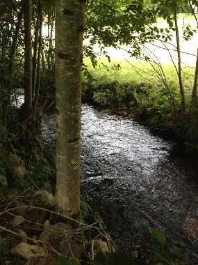 Chalet in le val d ajol (Vosges) oder Ferienwohnung oder Ferienhaus