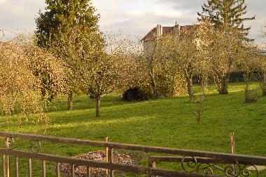 Obstgarten, Liegewiese