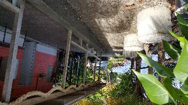 Ferienhaus in TRINITE (Martinique) oder Ferienwohnung oder Ferienhaus