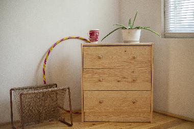 Ferienwohnung in Timisoara (Timis) oder Ferienwohnung oder Ferienhaus