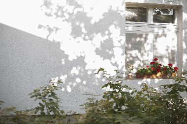 Ferienwohnung in Timisoara (Timis) oder Ferienwohnung oder Ferienhaus