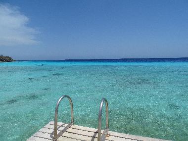 Villa in Willemstad (Curacao) oder Ferienwohnung oder Ferienhaus