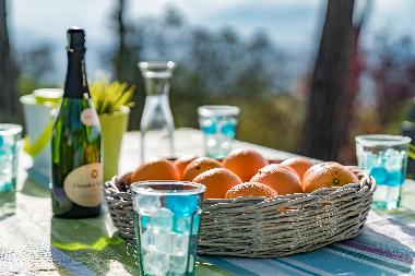 Ferienhaus in Tordera (Barcelona) oder Ferienwohnung oder Ferienhaus