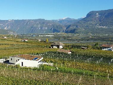 Ferienwohnung in Tramin (Bolzano-Bozen) oder Ferienwohnung oder Ferienhaus