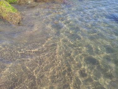 Ferienwohnung in CASTIGLIONE DELLA PESCAIA (Grosseto) oder Ferienwohnung oder Ferienhaus