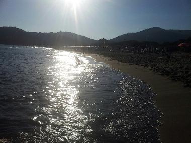 Ferienwohnung in CASTIGLIONE DELLA PESCAIA (Grosseto) oder Ferienwohnung oder Ferienhaus