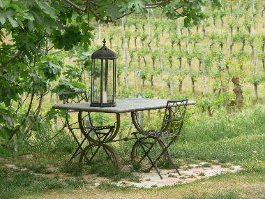 Ferienhaus in Vaglio Serra (Asti) oder Ferienwohnung oder Ferienhaus