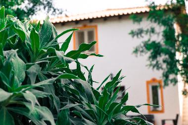 Ferienhaus in Quelfes (Algarve) oder Ferienwohnung oder Ferienhaus