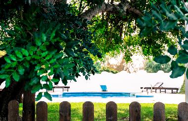 Ferienhaus in Quelfes (Algarve) oder Ferienwohnung oder Ferienhaus