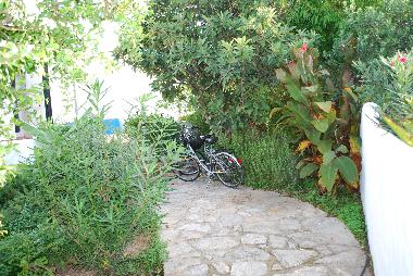 Ferienhaus in Quelfes (Algarve) oder Ferienwohnung oder Ferienhaus