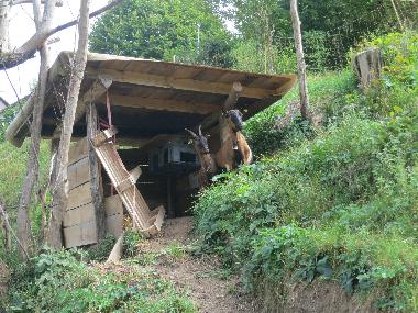 Die Ziegen Meckerli und B�rli