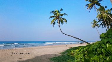 Villa in matara (Matara) oder Ferienwohnung oder Ferienhaus