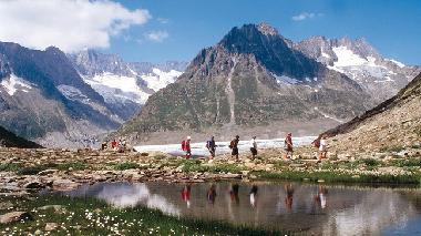 Beim Aletschgletscher 