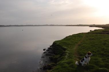 Ferienhaus in Lyngs (Nordjylland) oder Ferienwohnung oder Ferienhaus