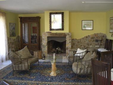 Villa Masia Ritz - Kamin