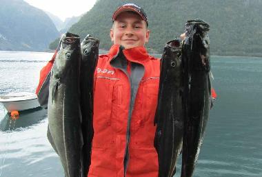 Fischfang bei norway-fjordhytter