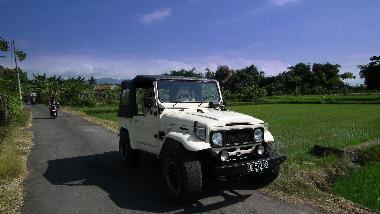Villa in Dencarik (Bali) oder Ferienwohnung oder Ferienhaus