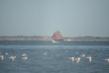 Holl�ndisches Plattbodenschiff im Wattenmeer