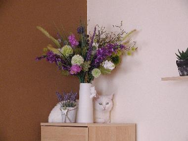 Ferienwohnung in Falkenstein (Oberpfalz) oder Ferienwohnung oder Ferienhaus