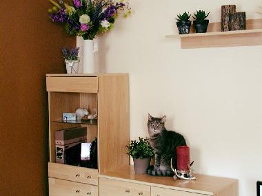 Ferienwohnung in Falkenstein (Oberpfalz) oder Ferienwohnung oder Ferienhaus