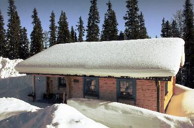 Ferienhaus in Svenstavik-Gal�bodarna (J�mtland) oder Ferienwohnung oder Ferienhaus