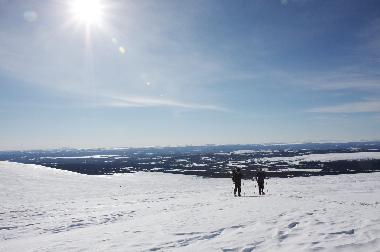 Ferienhaus in Svenstavik-Gal�bodarna (J�mtland) oder Ferienwohnung oder Ferienhaus