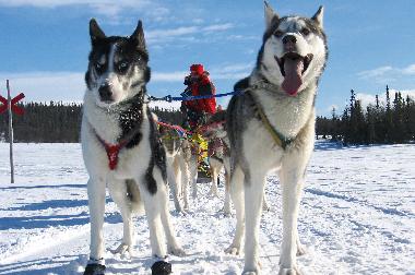 Ferienhaus in Svenstavik-Gal�bodarna (J�mtland) oder Ferienwohnung oder Ferienhaus