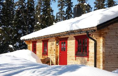Ferienhaus in Svenstavik-Gal�bodarna (J�mtland) oder Ferienwohnung oder Ferienhaus