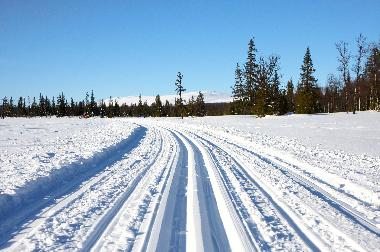 Ferienhaus in Svenstavik-Gal�bodarna (J�mtland) oder Ferienwohnung oder Ferienhaus
