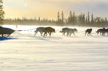 Ferienhaus in Svenstavik-Gal�bodarna (J�mtland) oder Ferienwohnung oder Ferienhaus