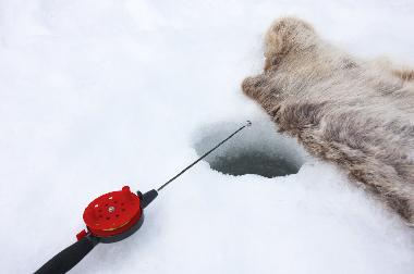 Ferienhaus in Svenstavik-Gal�bodarna (J�mtland) oder Ferienwohnung oder Ferienhaus